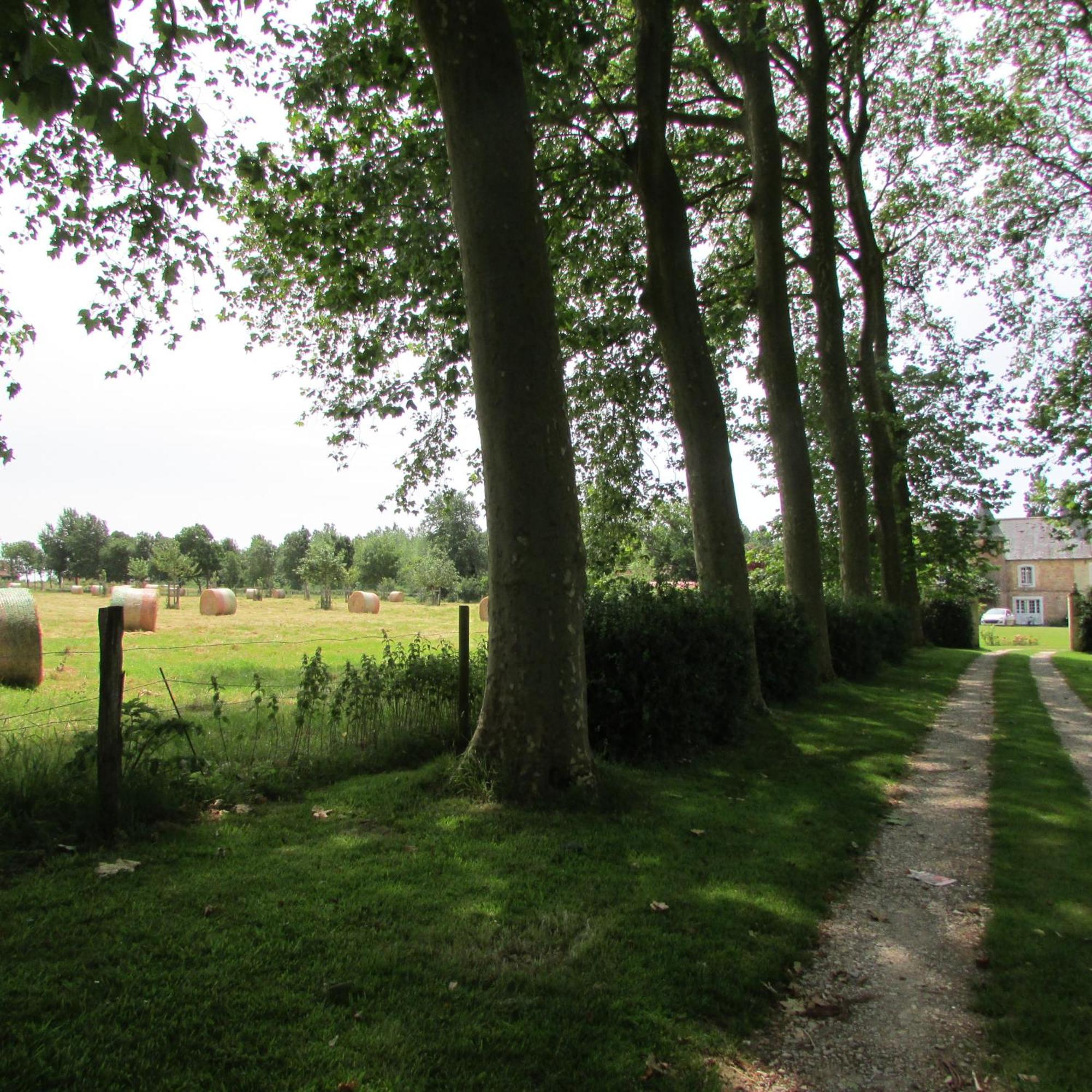 Gite Manoir Les Camps Greslins Questrecques エクステリア 写真